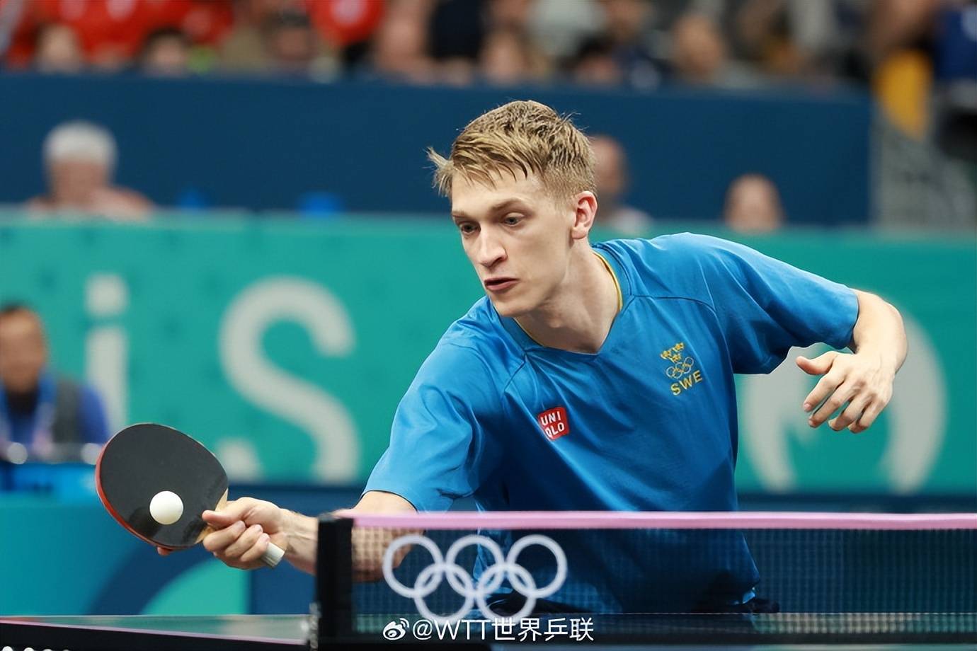 德国乒乓球队险胜韩国乒乓球队,波尔惊艳世界的简单介绍 德国乒乓球队险胜韩国乒乓球队,波尔惊艳世界的简单介绍