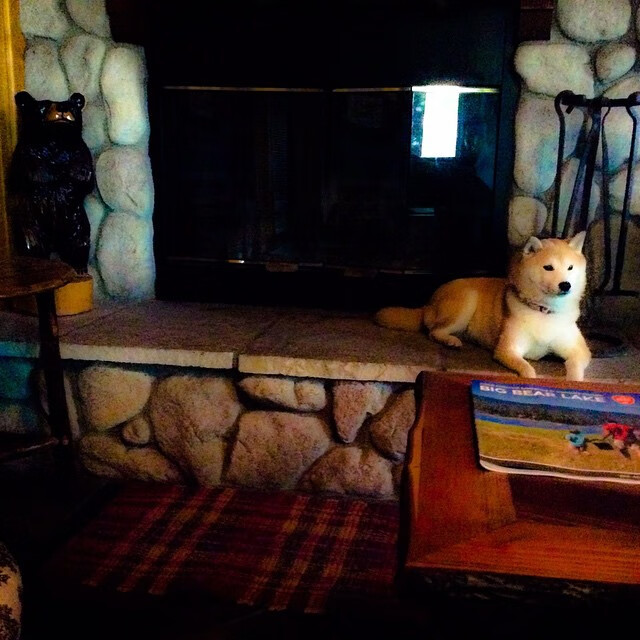 北境征服记,阿尔瓦雷斯一肩扛起皇社攻防,驯服挪威狼烟