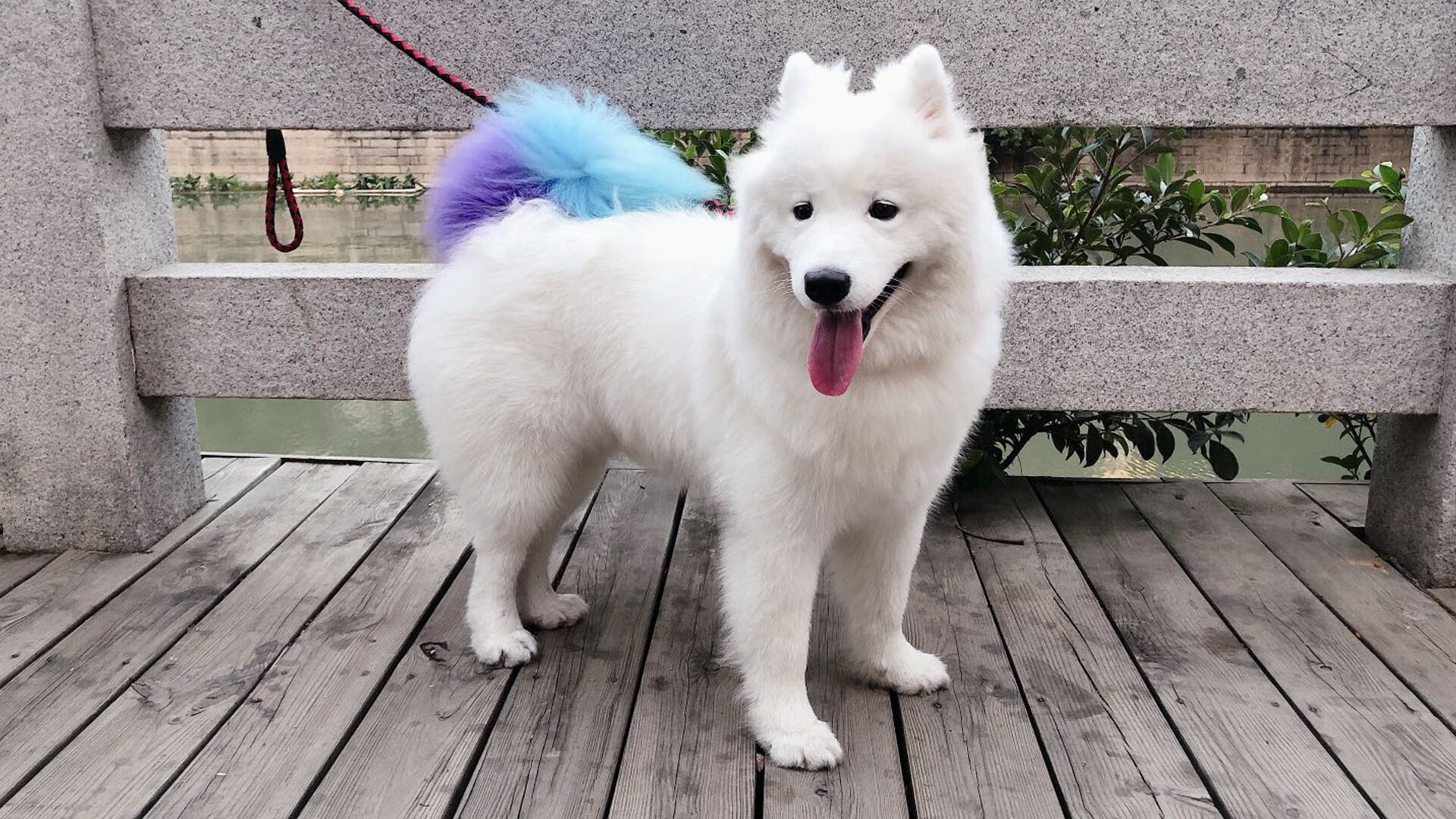 生涯助攻王+关键断！保罗一战封神，步行者险胜开拓者却成配角