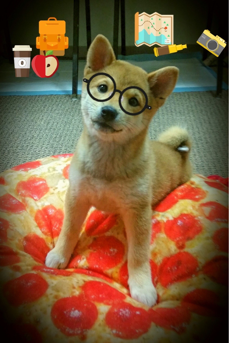 当迦太基雄狮踏碎维京战船,奥纳纳,扼守胜利之门的暗夜猎手