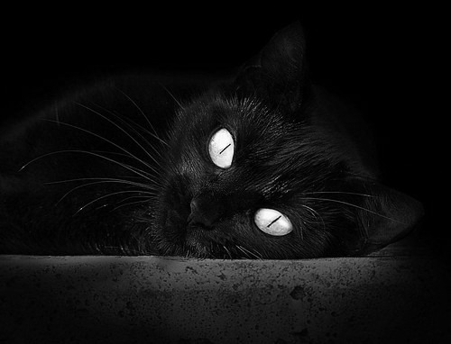 跨界交锋！欧文绽放完美艺术，奇才险胜北京队引轰动