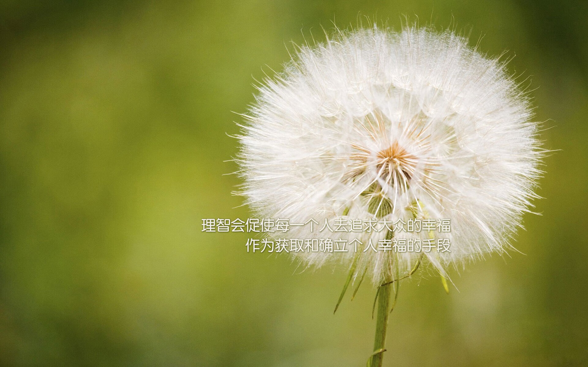 加克波的闪电与瑞典的惊雷，当悬念在开局哨响前就已终结