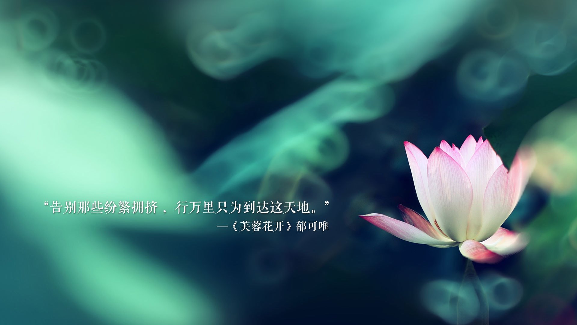 以钢筋水泥的节拍起舞，霍勒迪如何让灰熊的节奏交响乐击穿骑士防线
