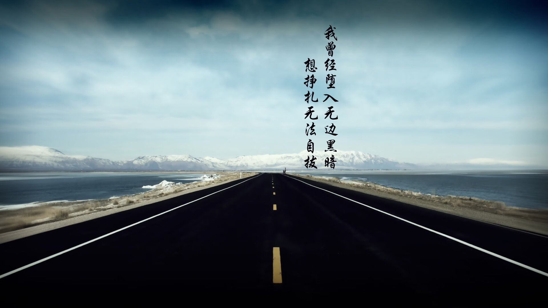孤星闪耀，2026世界杯B组血战中，范戴克用铁血与锐刃定义唯一性